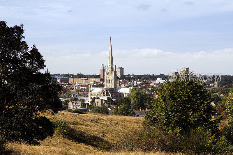 来自Mousehold Heath的Norwich City